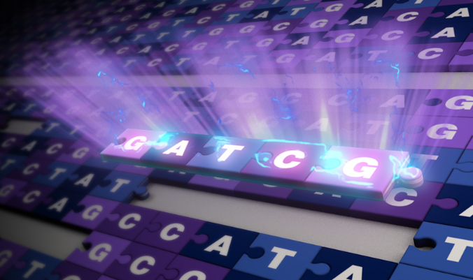 Analyses of the complete genome sequence will significantly add to our knowledge of chromosomes, including more accurate maps for five chromosome arms, which opens new lines of research.